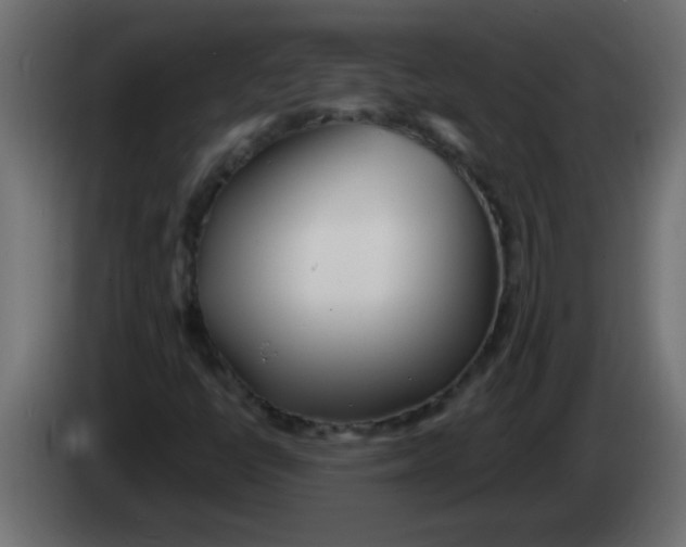 X0000082981398200703020246