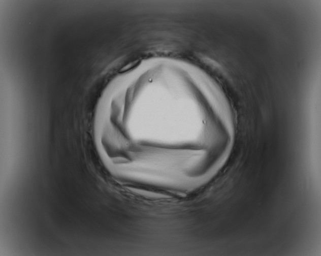 X0000082981399200703020246