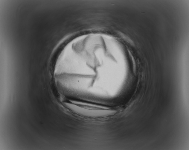 X0000082981400200703020246