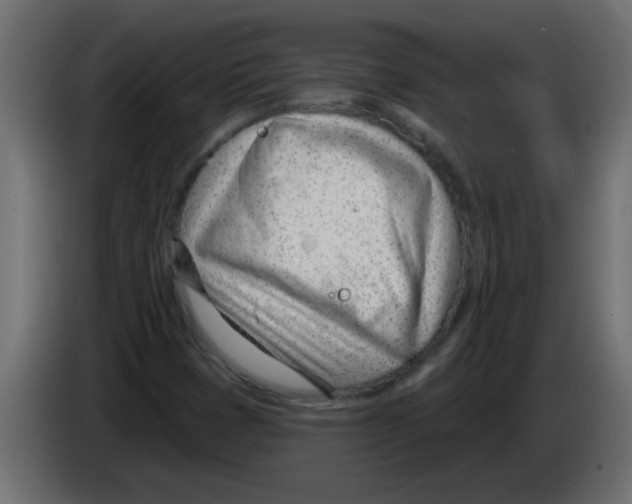 X0000082981401200703020246