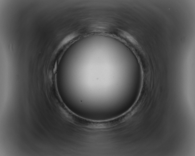 X0000082981402200703020246
