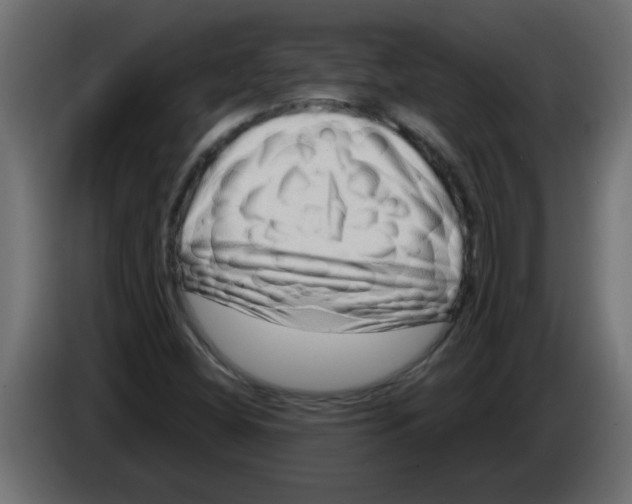 X0000082981404200703020246
