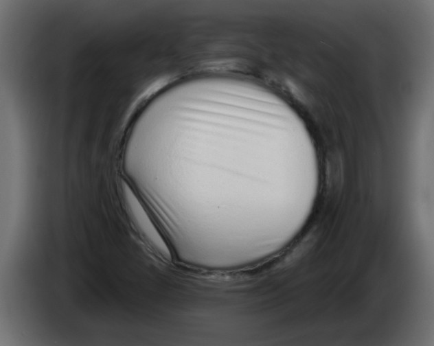 X0000082981405200703020246