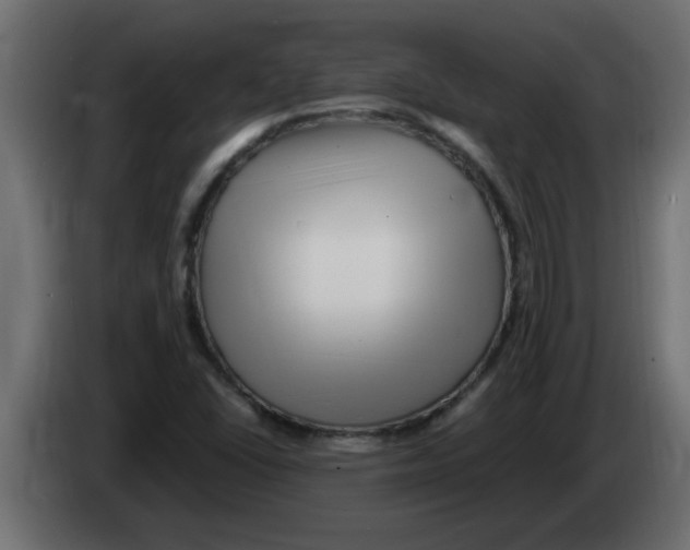 X0000082981406200703020246