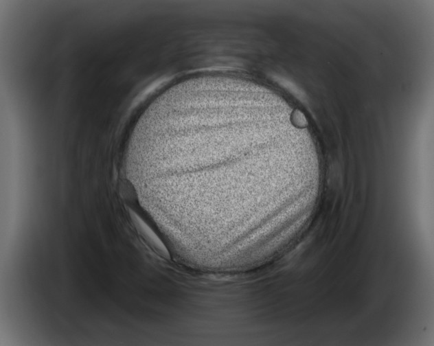 X0000082981407200703020246