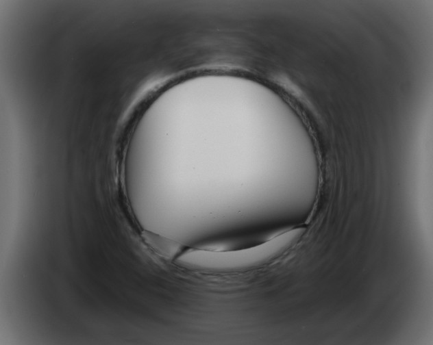 X0000082981408200703020246