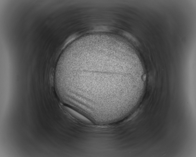 X0000082981409200703020246