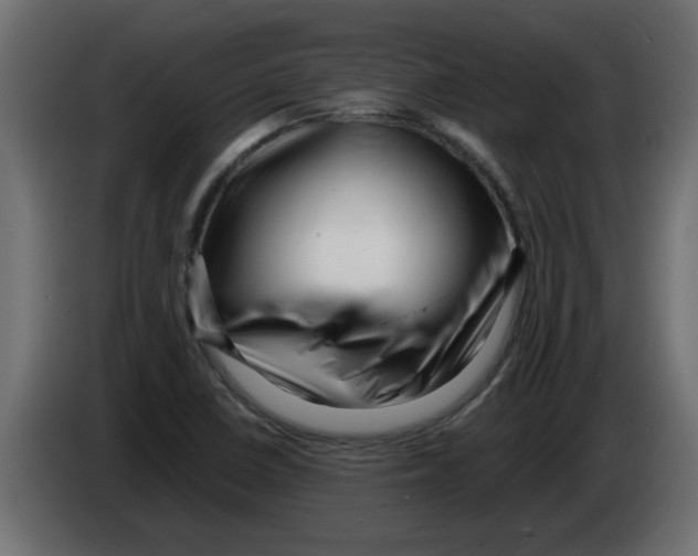 X0000082981410200703020246