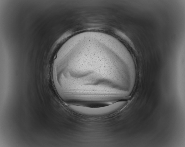 X0000082981411200703020246