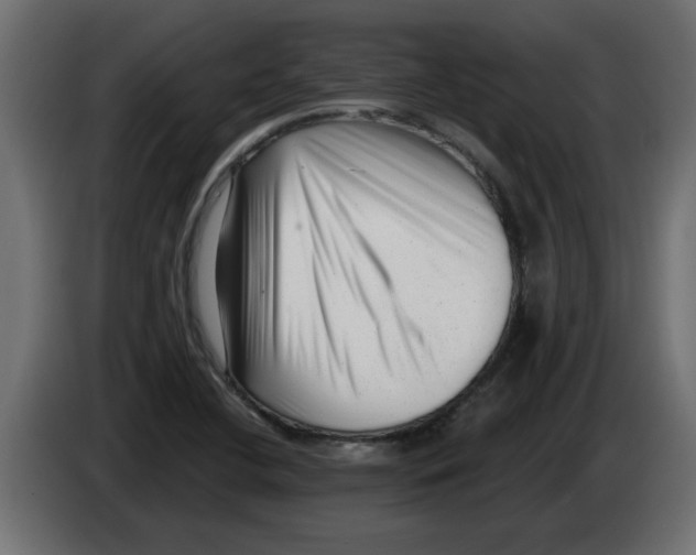 X0000082981412200703020246