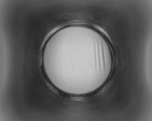 X0000082981413200703020246