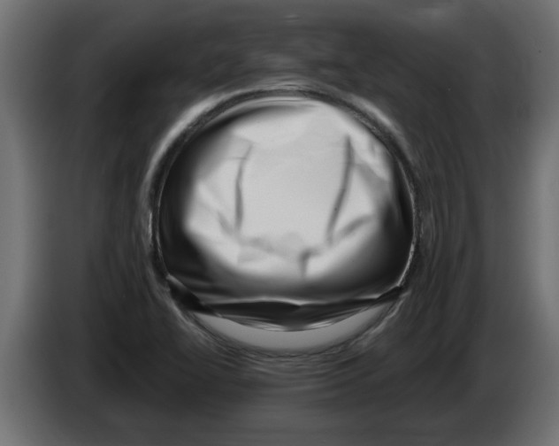 X0000082981414200703020246