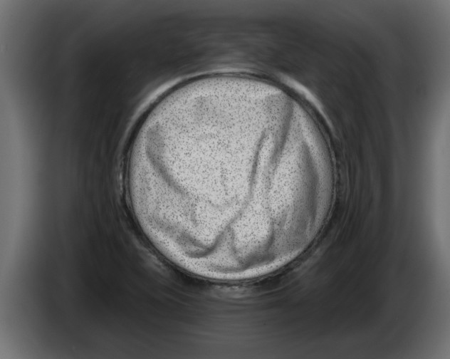 X0000082981415200703020246