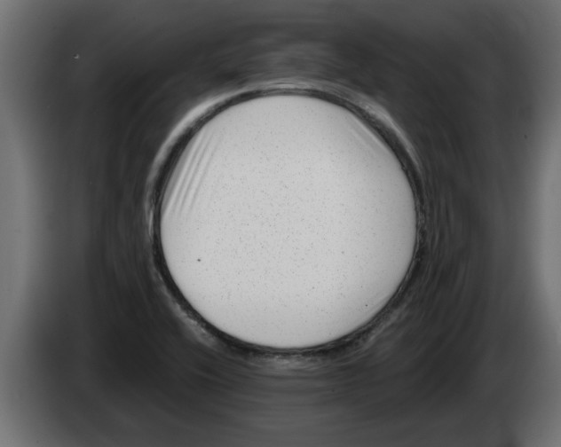 X0000082981416200703020246