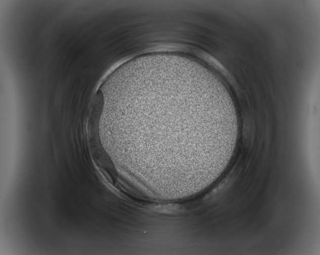 X0000082981417200703020246