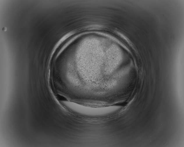 X0000082981418200703020246