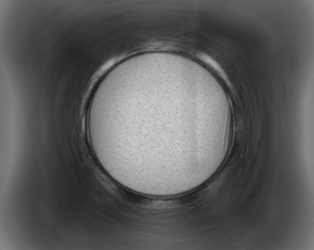 X0000082981419200703020246