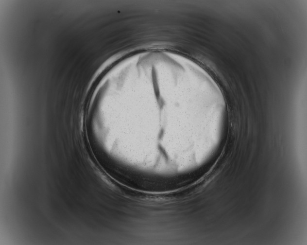 X0000082981420200703020246