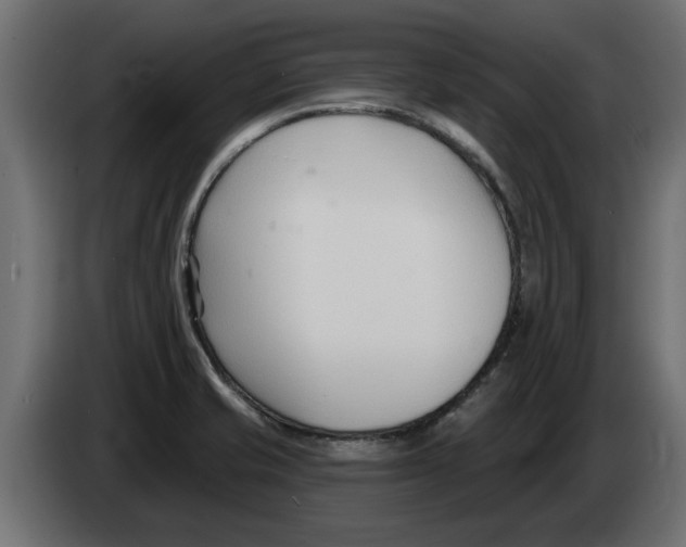 X0000082981421200703020246