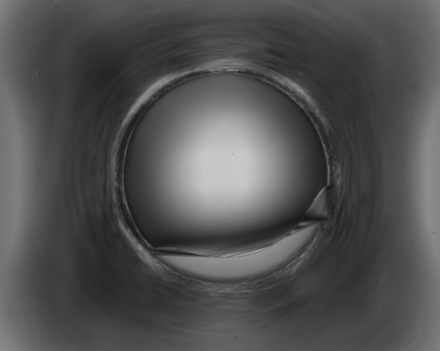 X0000082981422200703020246