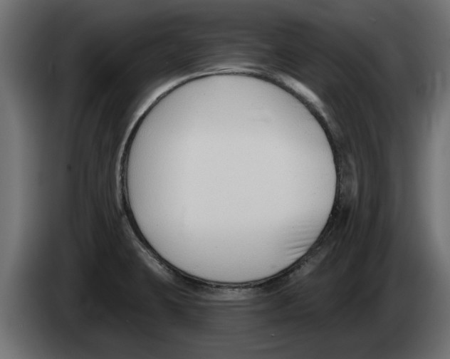 X0000082981423200703020246
