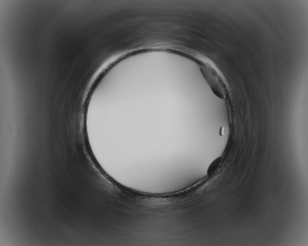 X0000082981424200703020246