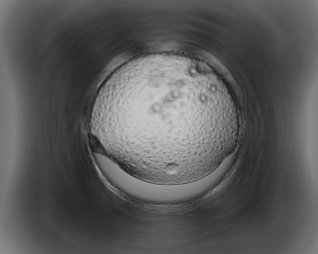 X0000082981425200703020246