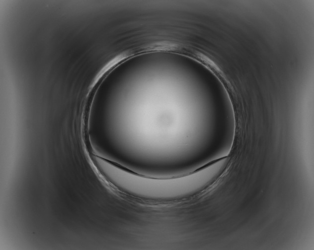 X0000082981426200703020246