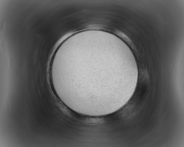 X0000082981427200703020246