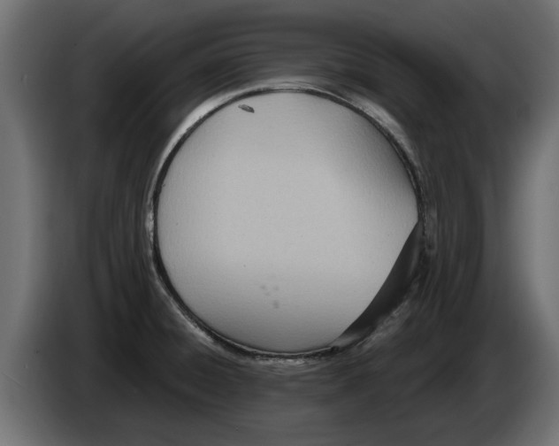 X0000082981428200703020247