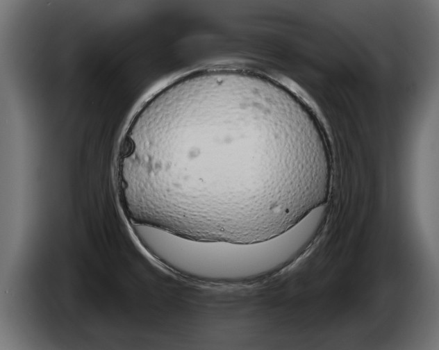 X0000082981429200703020247