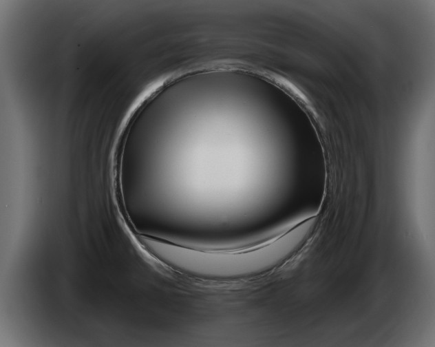 X0000082981430200703020247