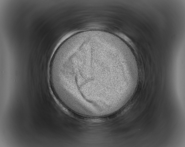 X0000082981431200703020247