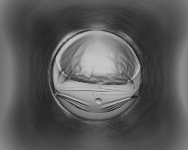 X0000082981432200703020247
