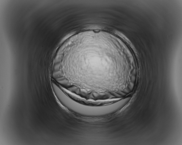 X0000082981433200703020247