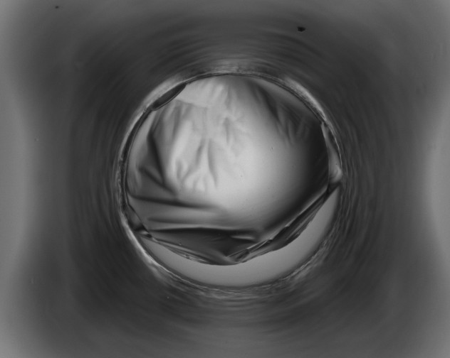 X0000082981434200703020247