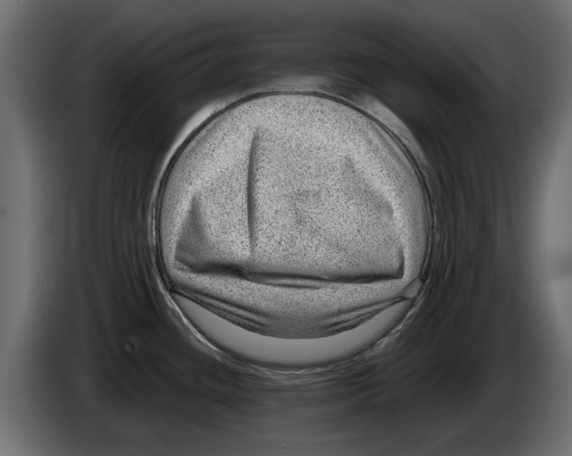 X0000082981436200703020247
