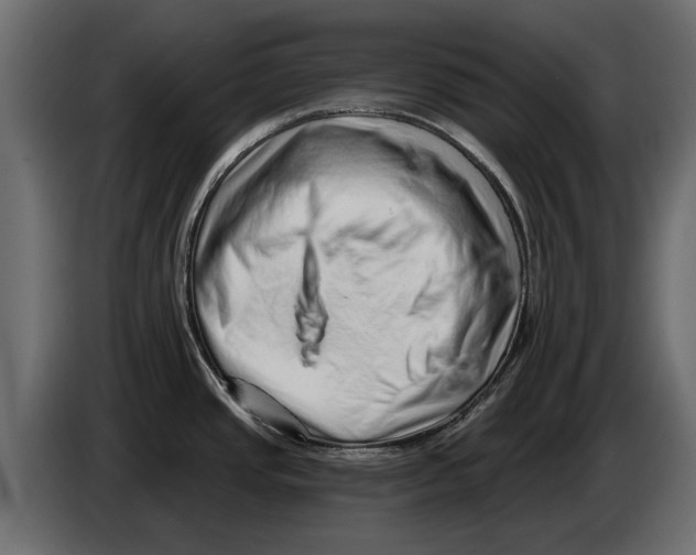 X0000082981437200703020247