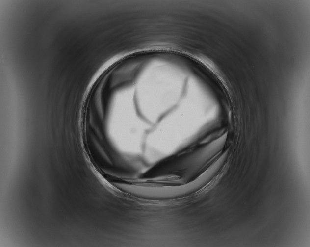 X0000082981438200703020247