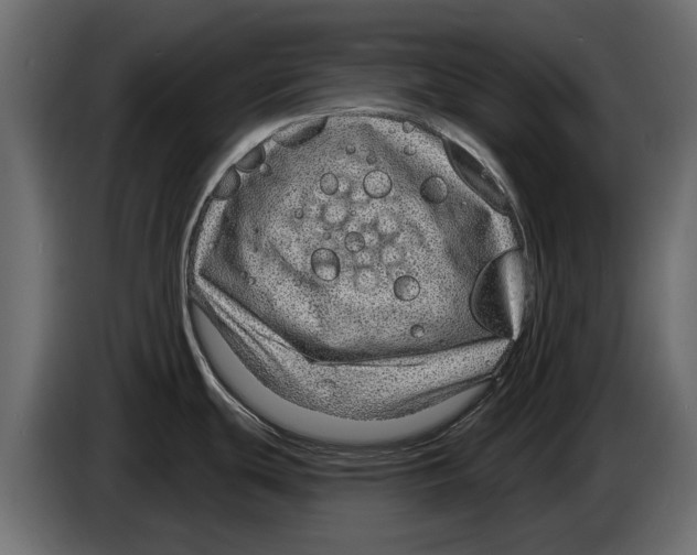 X0000082981439200703020247