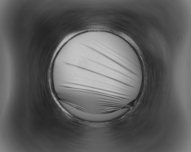 X0000082981440200703020247