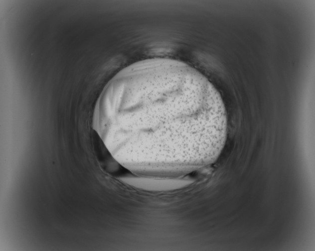 X0000082981441200703020246