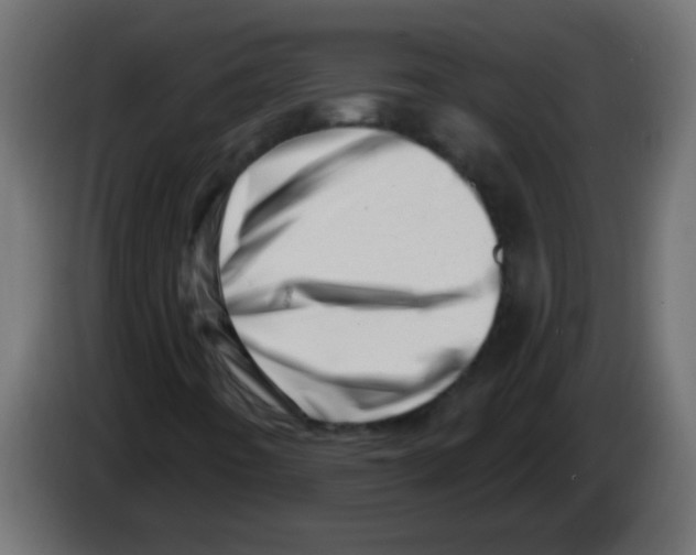 X0000082981442200703020246