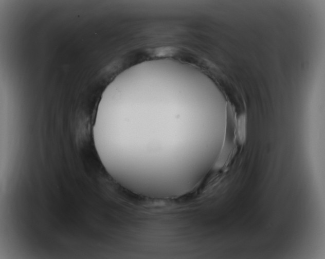 X0000082981443200703020246