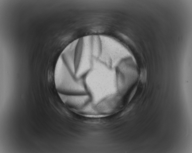 X0000082981444200703020246