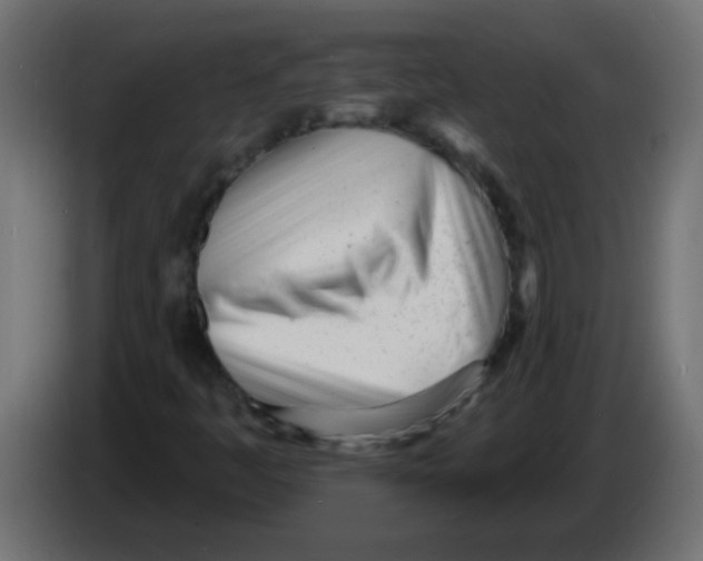 X0000082981445200703020246