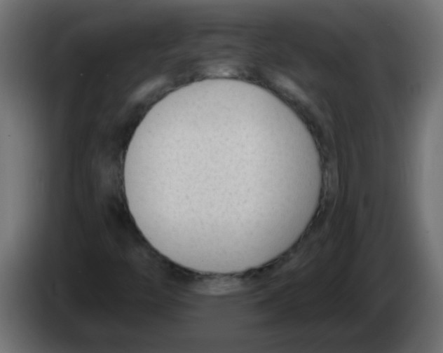 X0000082981446200703020246