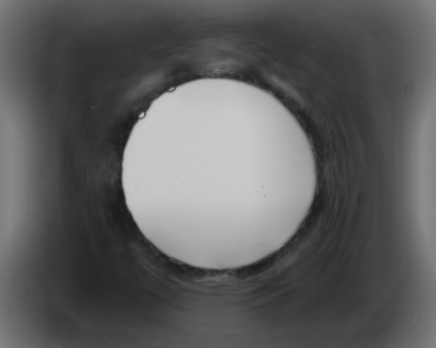 X0000082981447200703020246
