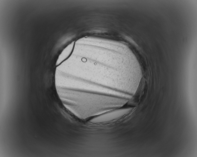 X0000082981448200703020246