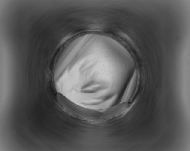 X0000082981449200703020246
